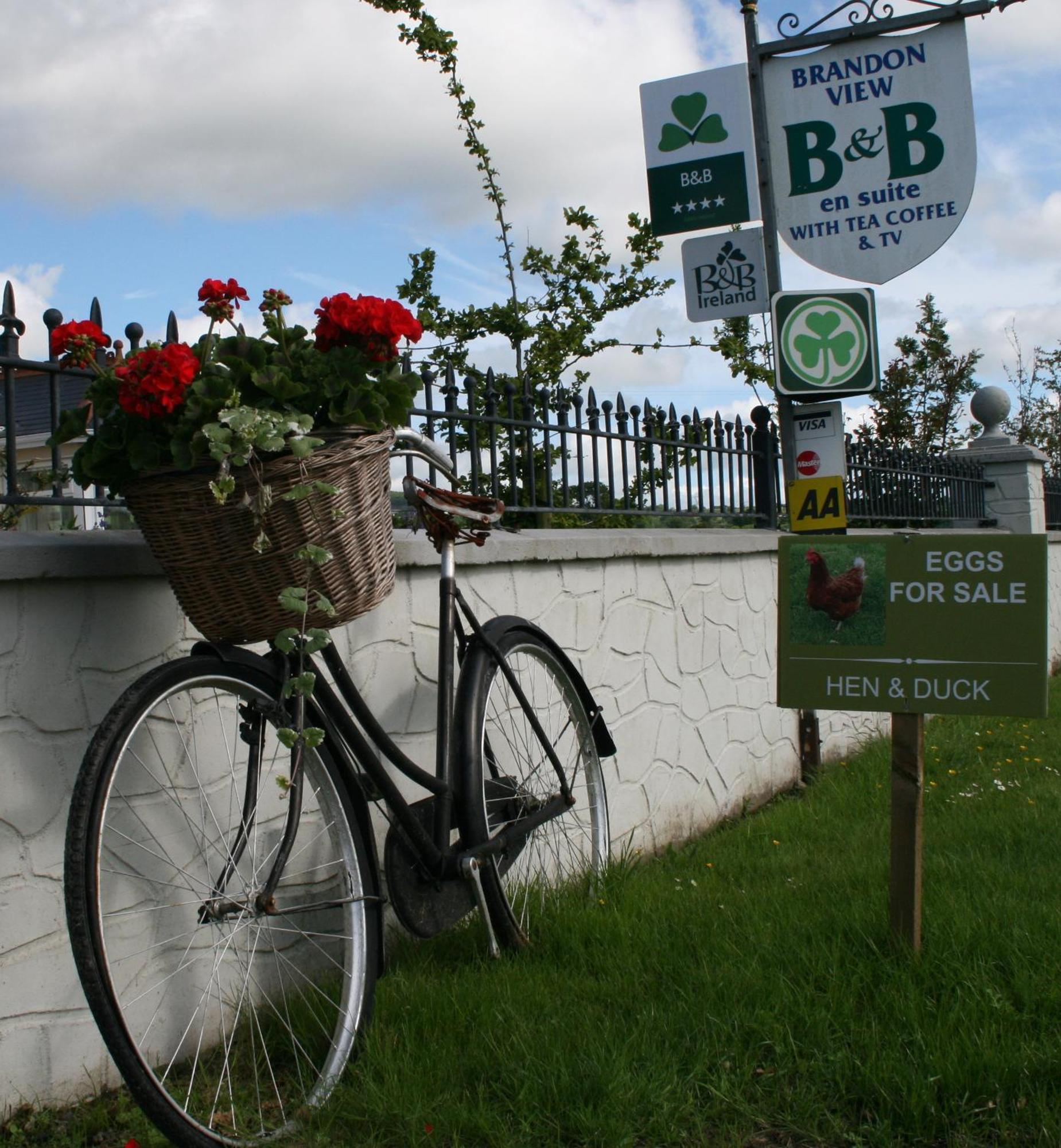 Brandon View House B&B Graiguenamanagh 외부 사진