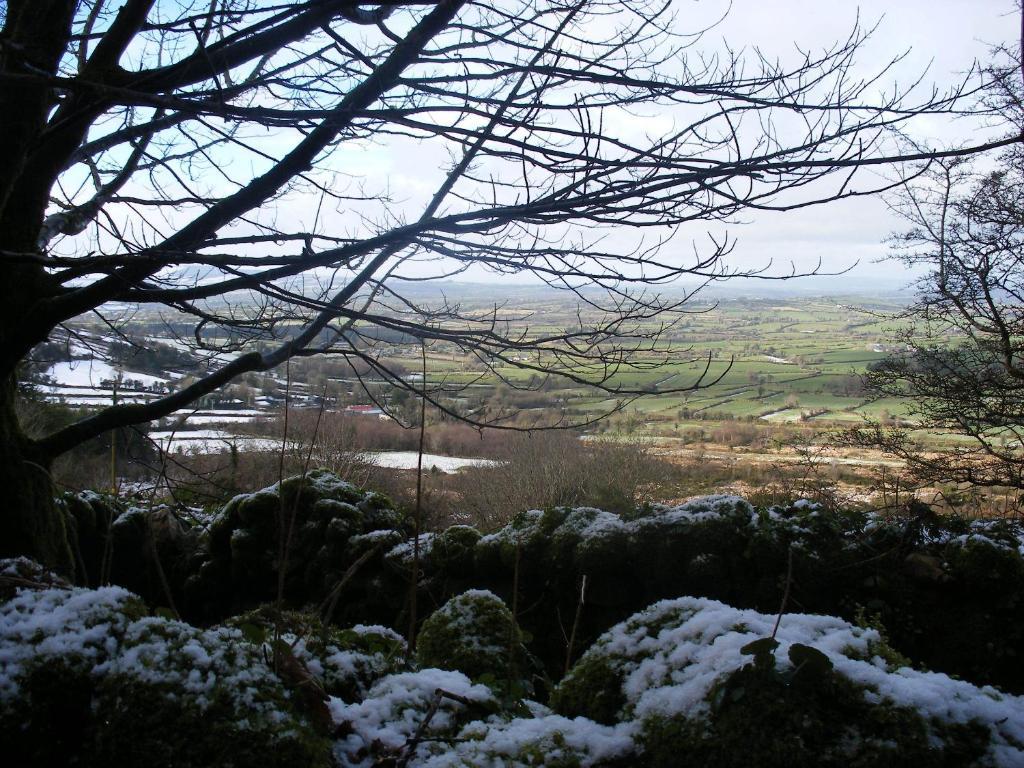 Brandon View House B&B Graiguenamanagh 외부 사진