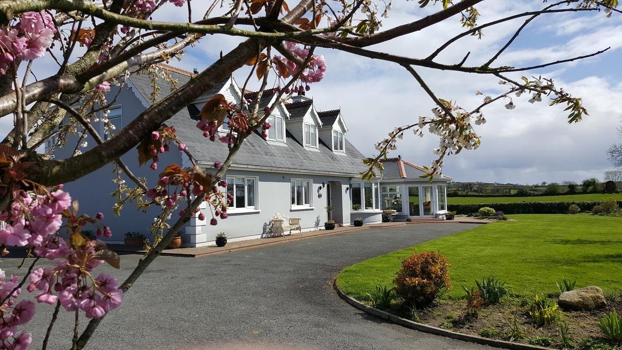 Brandon View House B&B Graiguenamanagh 외부 사진